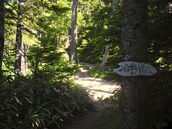 a0166940_215916.jpg