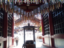 a0272241_17415332.jpg