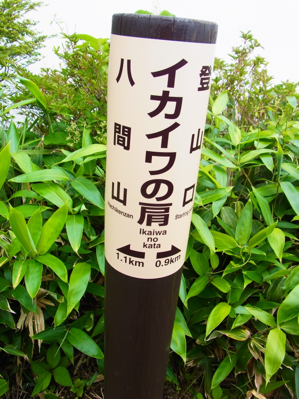 b0190242_12231740.jpg