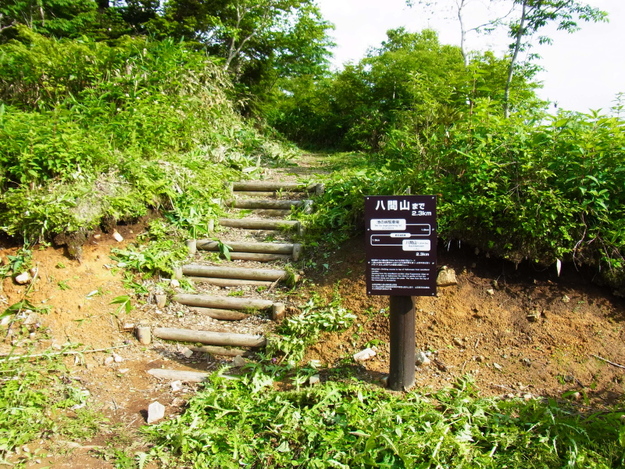 b0190242_12293092.jpg