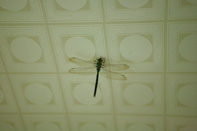 c0095644_2252198.jpg