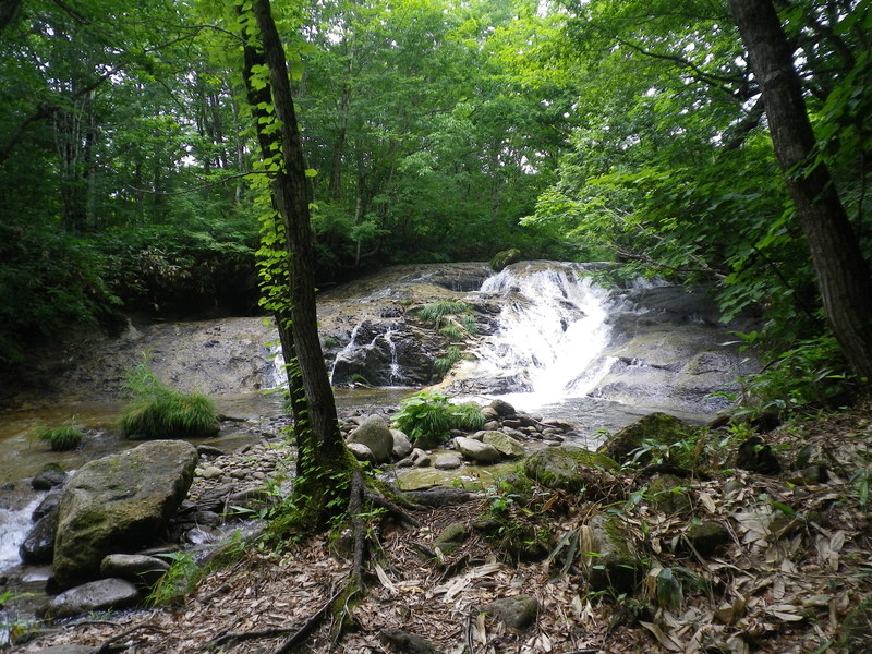 f0000148_14175189.jpg