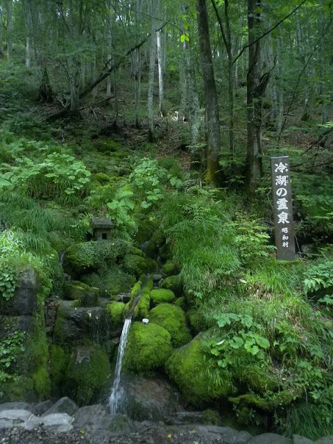 f0000148_1434058.jpg