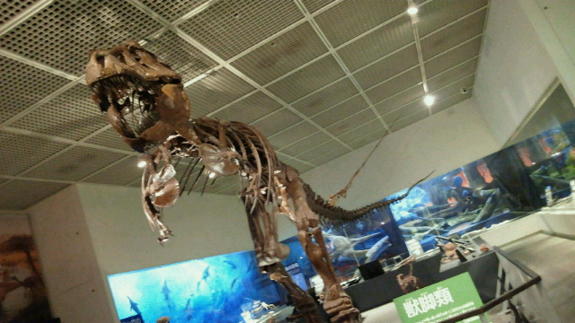 c0241952_8154715.jpg