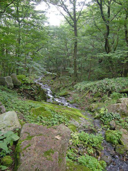 a0001354_20555958.gif