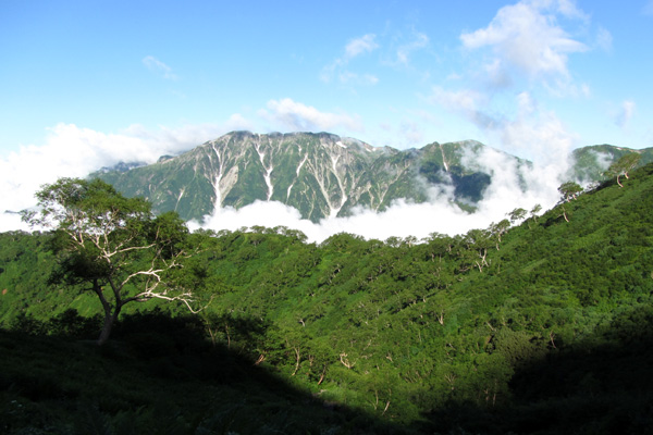 f0007956_22435497.jpg