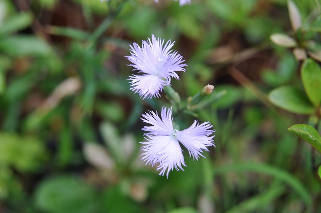 b0104861_20373477.jpg