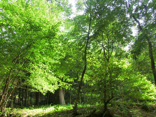 c0171468_22171921.jpg