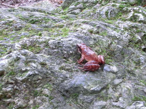 c0171468_22181597.jpg