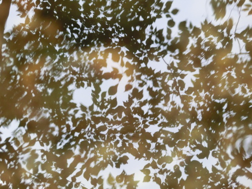 c0171468_22191765.jpg