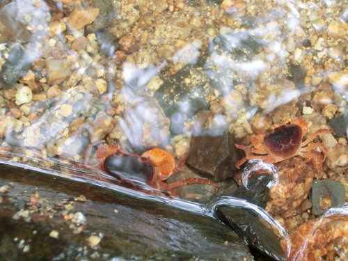 c0171468_2229337.jpg