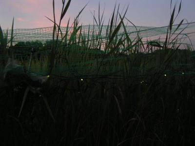 c0112172_23454971.jpg