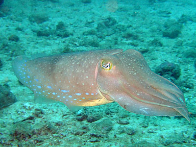 b0033573_18102482.jpg
