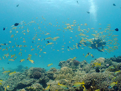 b0033573_1810680.jpg