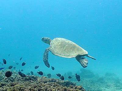 b0033573_1895529.jpg
