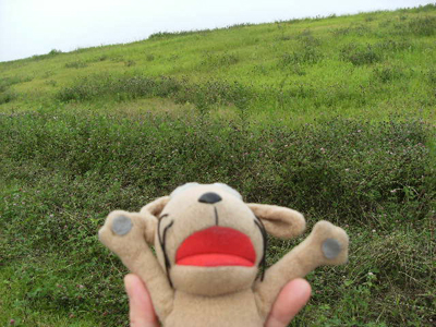 c0158573_1454399.jpg