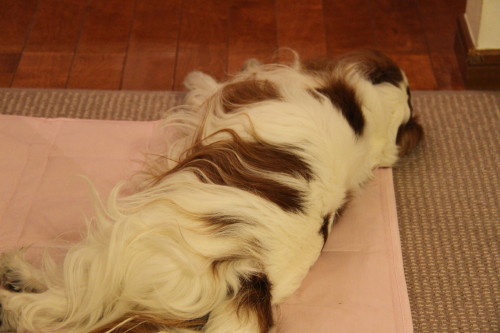 e0114977_024670.jpg