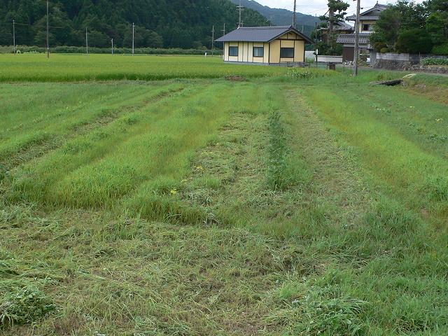 b0042882_1643948.jpg