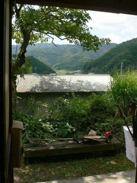 b0042882_1685310.jpg