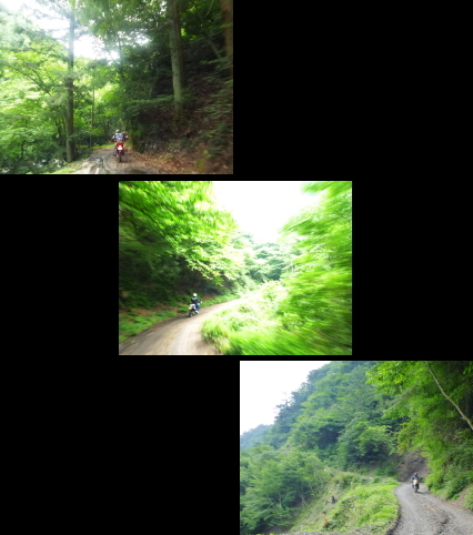 d0179983_12501598.jpg