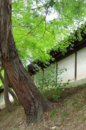 b0119493_1024558.jpg