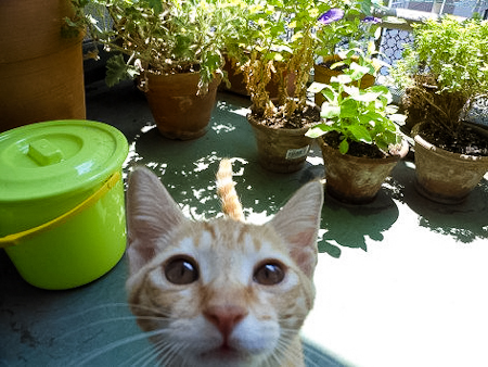 f0239100_8165721.jpg