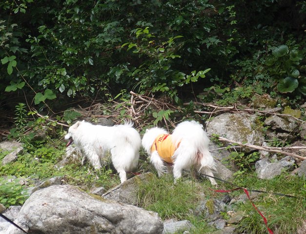 e0018604_13515732.jpg