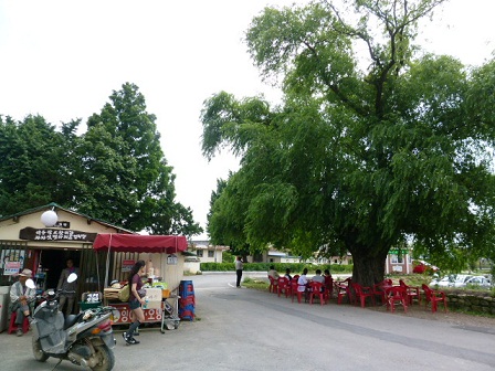 a0140305_0385574.jpg