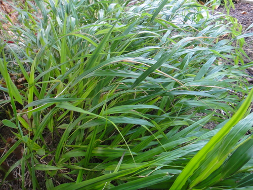 c0105306_21575920.jpg
