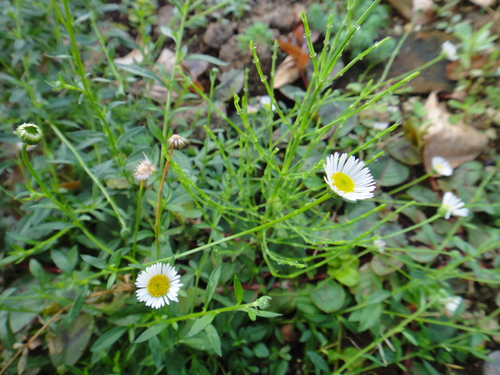 c0105306_2235573.jpg