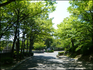 b0019820_23405690.jpg