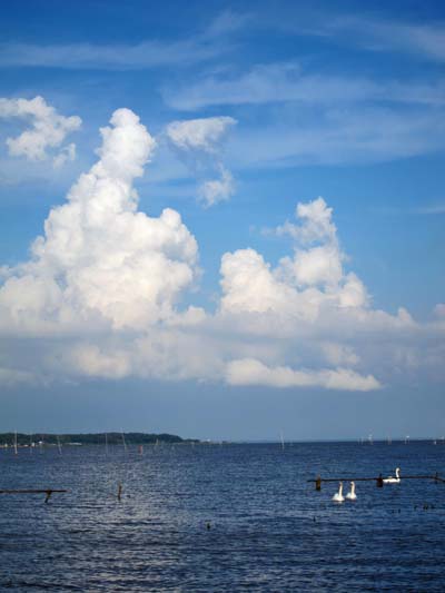 f0147025_2302116.jpg