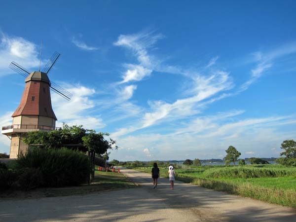 f0147025_231061.jpg
