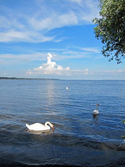 f0147025_2362528.jpg