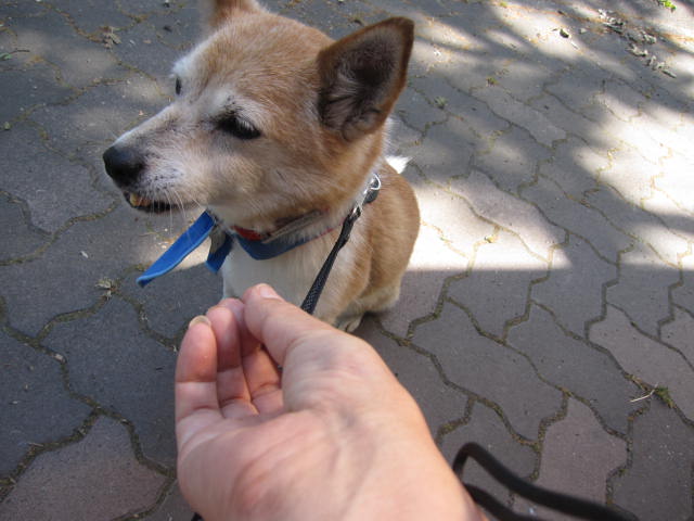 e0191826_23275652.jpg