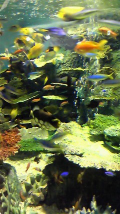 f0133526_22111395.jpg