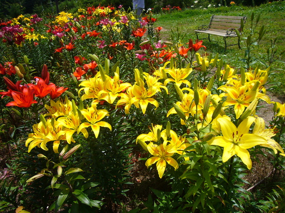 a0226627_8563955.jpg