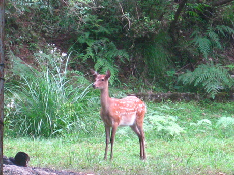 b0207632_10481081.jpg
