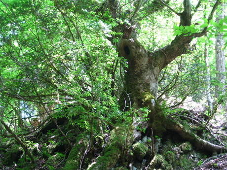 b0207632_1048211.jpg
