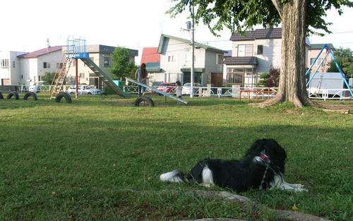 c0051132_22353946.jpg