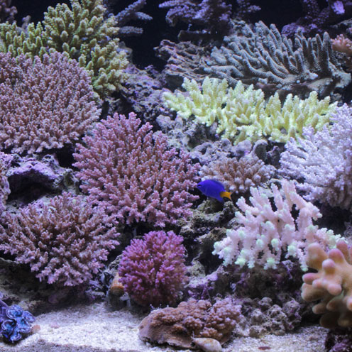 d0221436_22195286.jpg