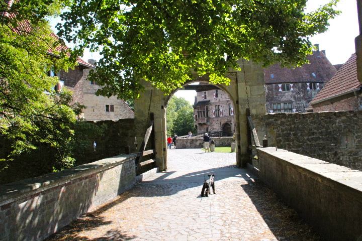 c0153740_2346097.jpg