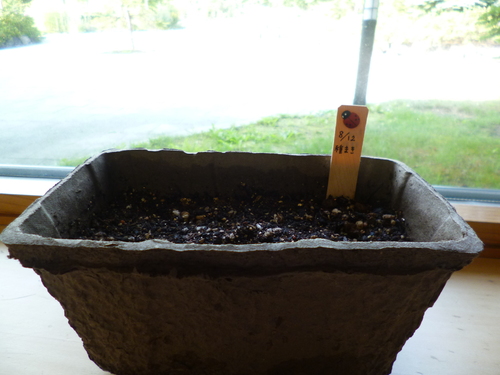 c0233141_1654868.jpg