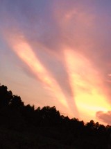 f0229449_1041747.jpg