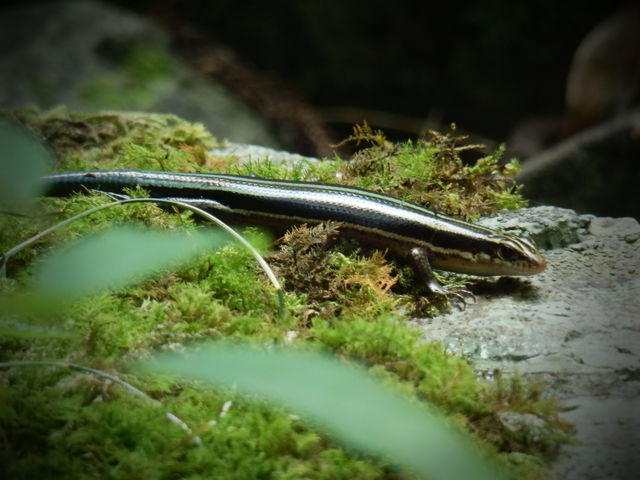 f0214351_1139461.jpg