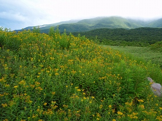 e0004756_20304373.jpg