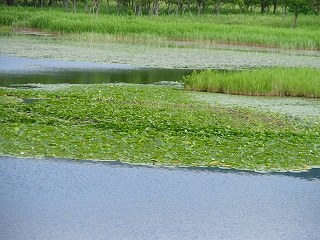 e0004756_20363565.jpg