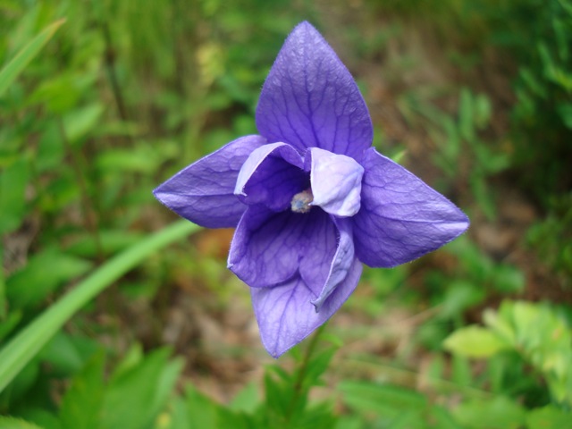 f0198556_20521021.jpg