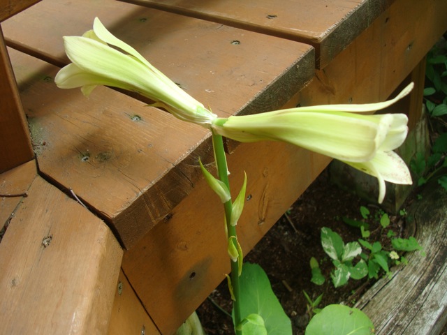 f0198556_20551130.jpg