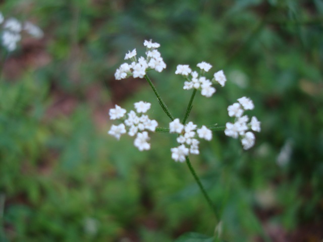 f0198556_2125576.jpg